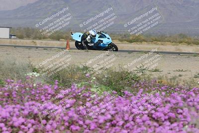 media/Feb-04-2023-SoCal Trackdays (Sat) [[8a776bf2c3]]/Turn 15 Inside Blooming (1050am)/